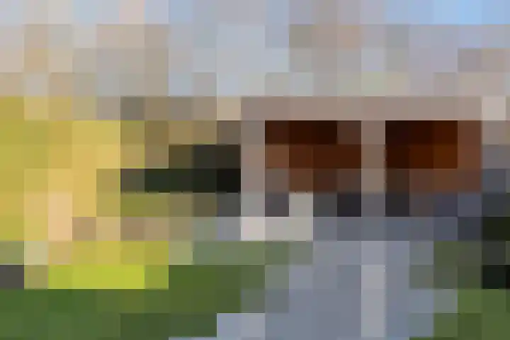 Scherpeweide 19 Duiven thumbnail 48
