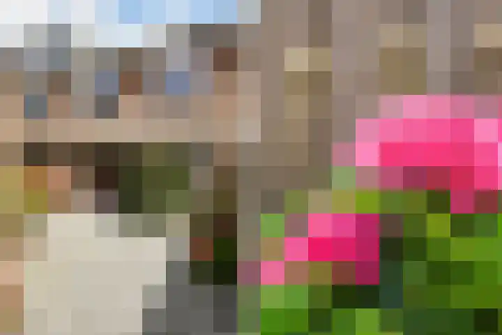 Scherpeweide 19 Duiven thumbnail 54