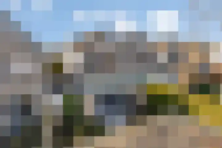 Scherpeweide 19 Duiven thumbnail 56