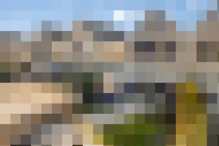 Scherpeweide 19 Duiven thumbnail 57