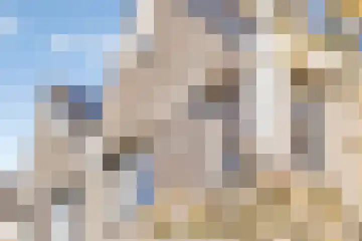 Scherpeweide 19 Duiven thumbnail 60