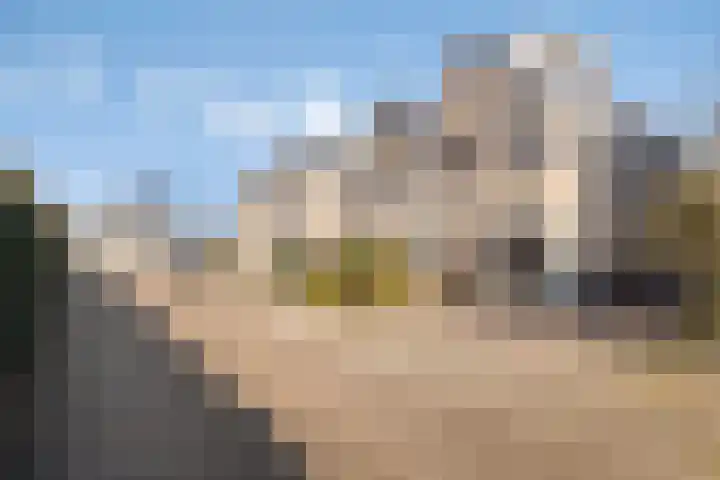 Scherpeweide 19 Duiven thumbnail 61
