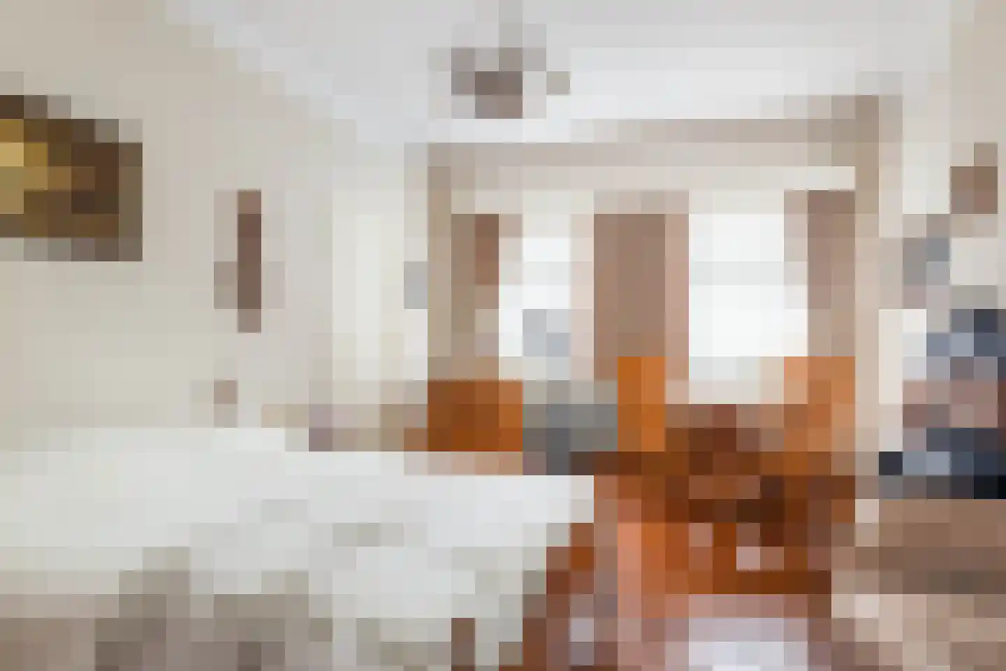 Schettereind 19 Roosteren thumbnail 15