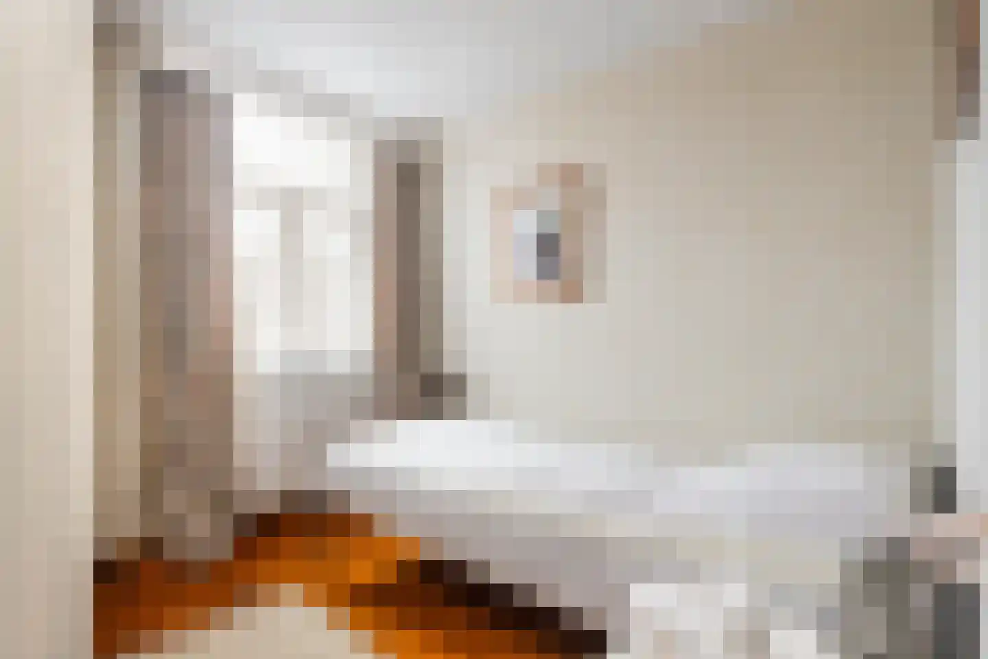 Schettereind 19 Roosteren thumbnail 19