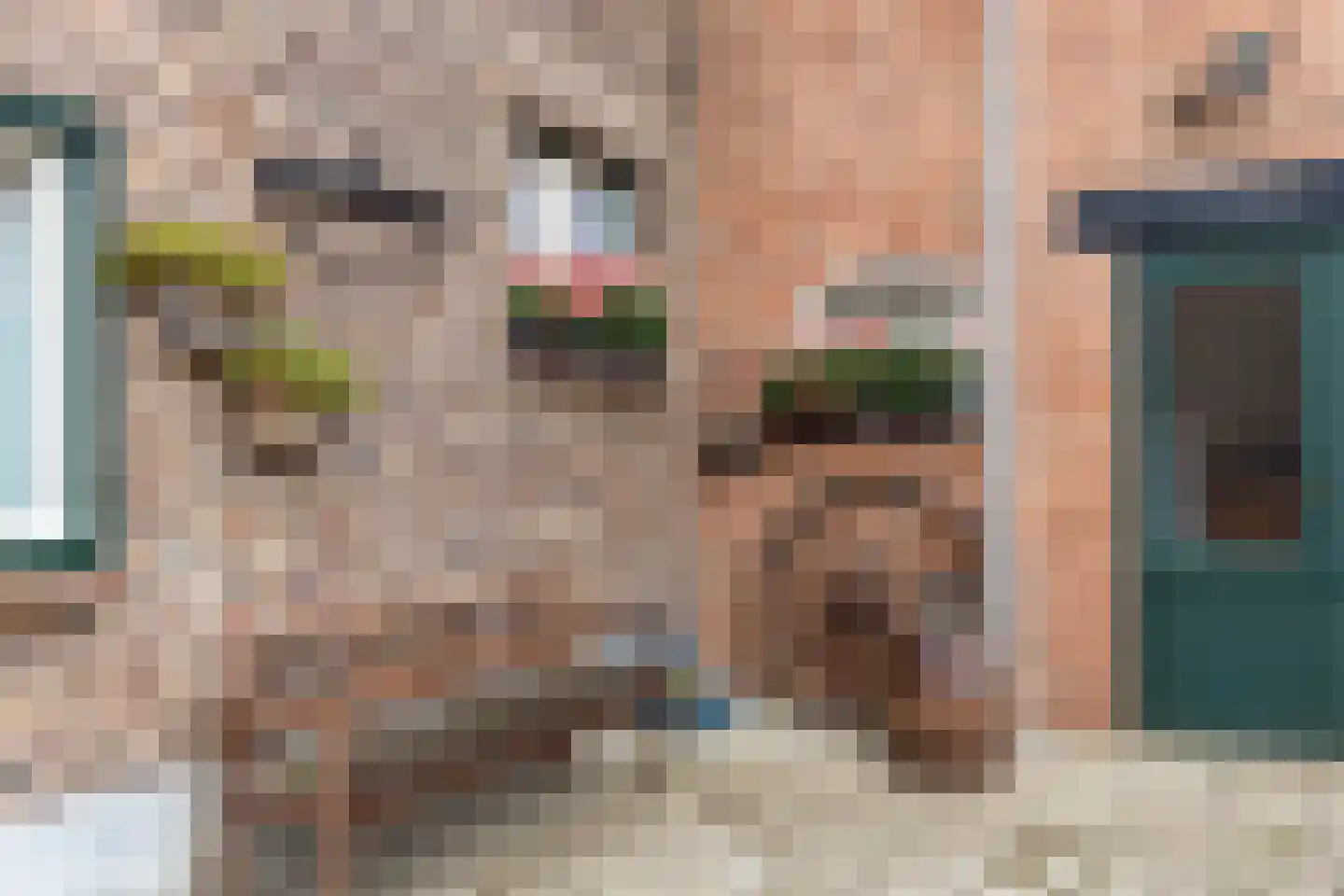 Schettereind 19 Roosteren thumbnail 36