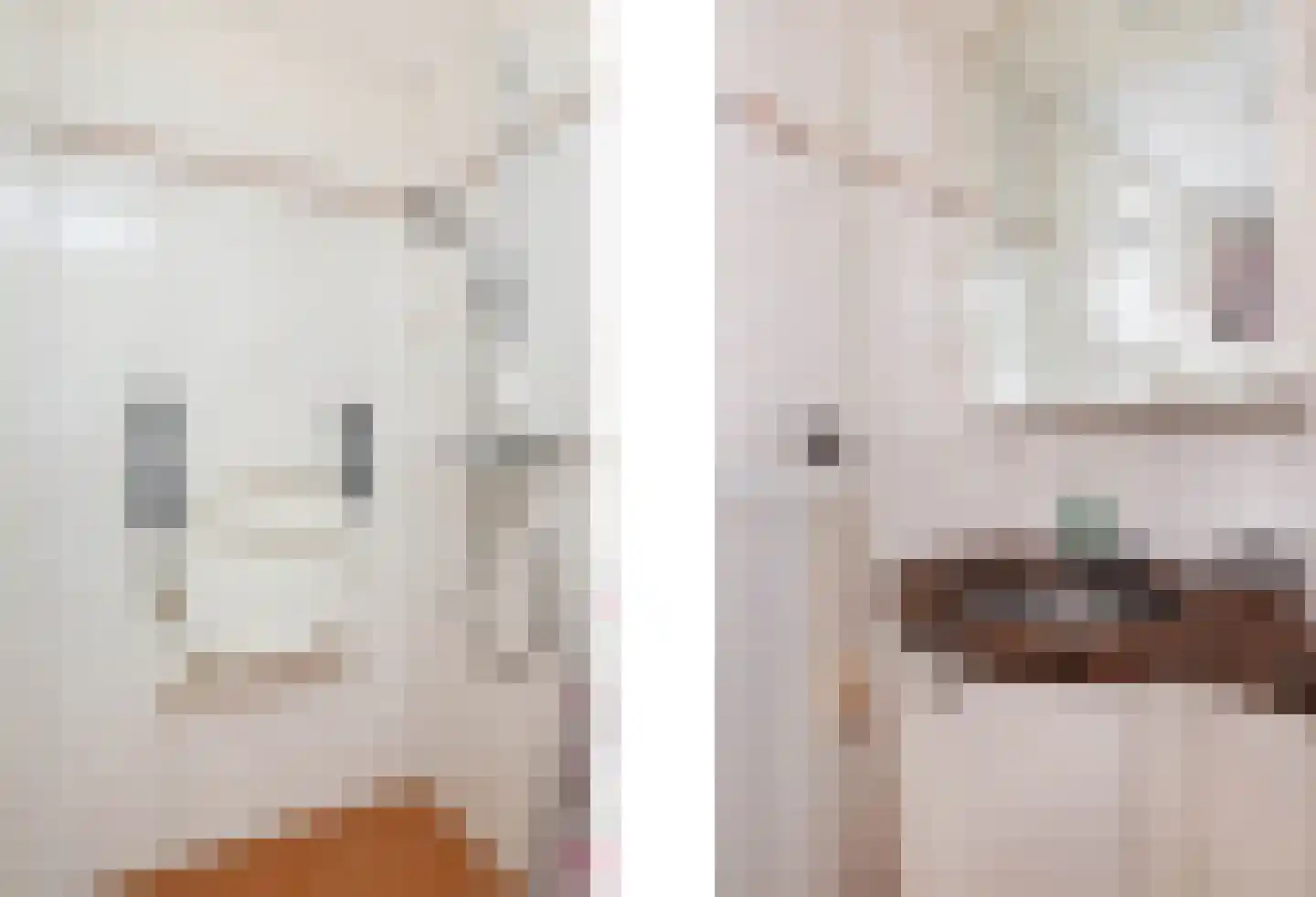Schettereind 19 Roosteren thumbnail 5