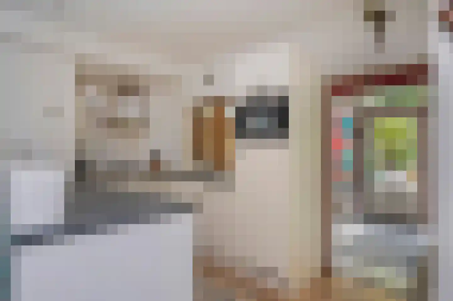 Scheulderdorpsstraat 65 Scheulder thumbnail 16