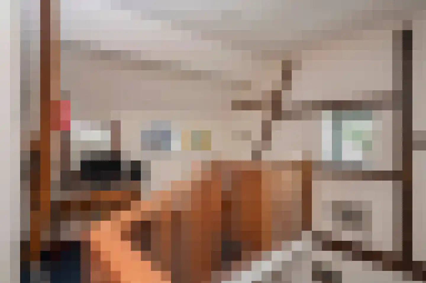 Scheulderdorpsstraat 65 Scheulder thumbnail 29
