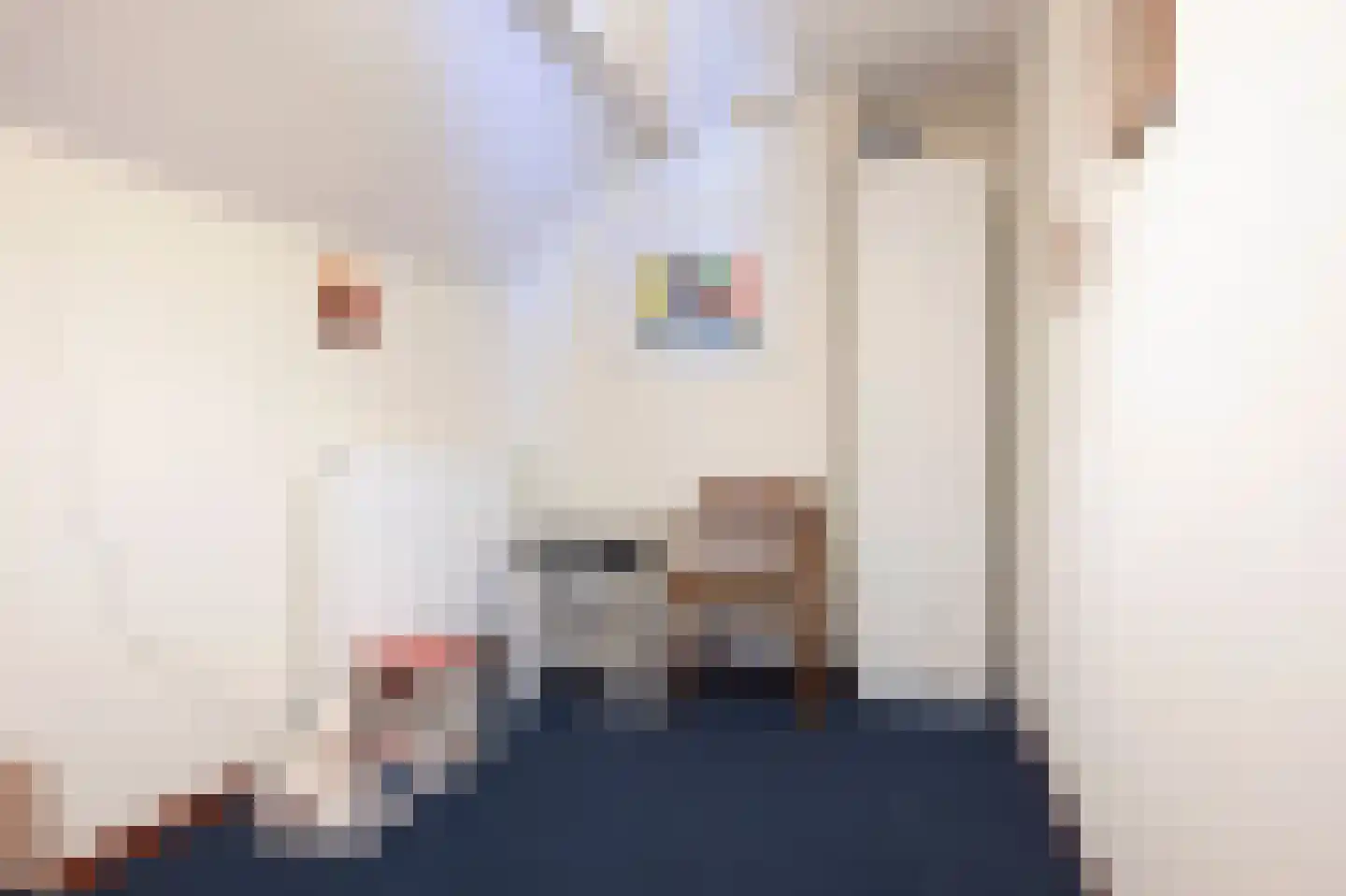 Scheulderdorpsstraat 65 Scheulder thumbnail 37