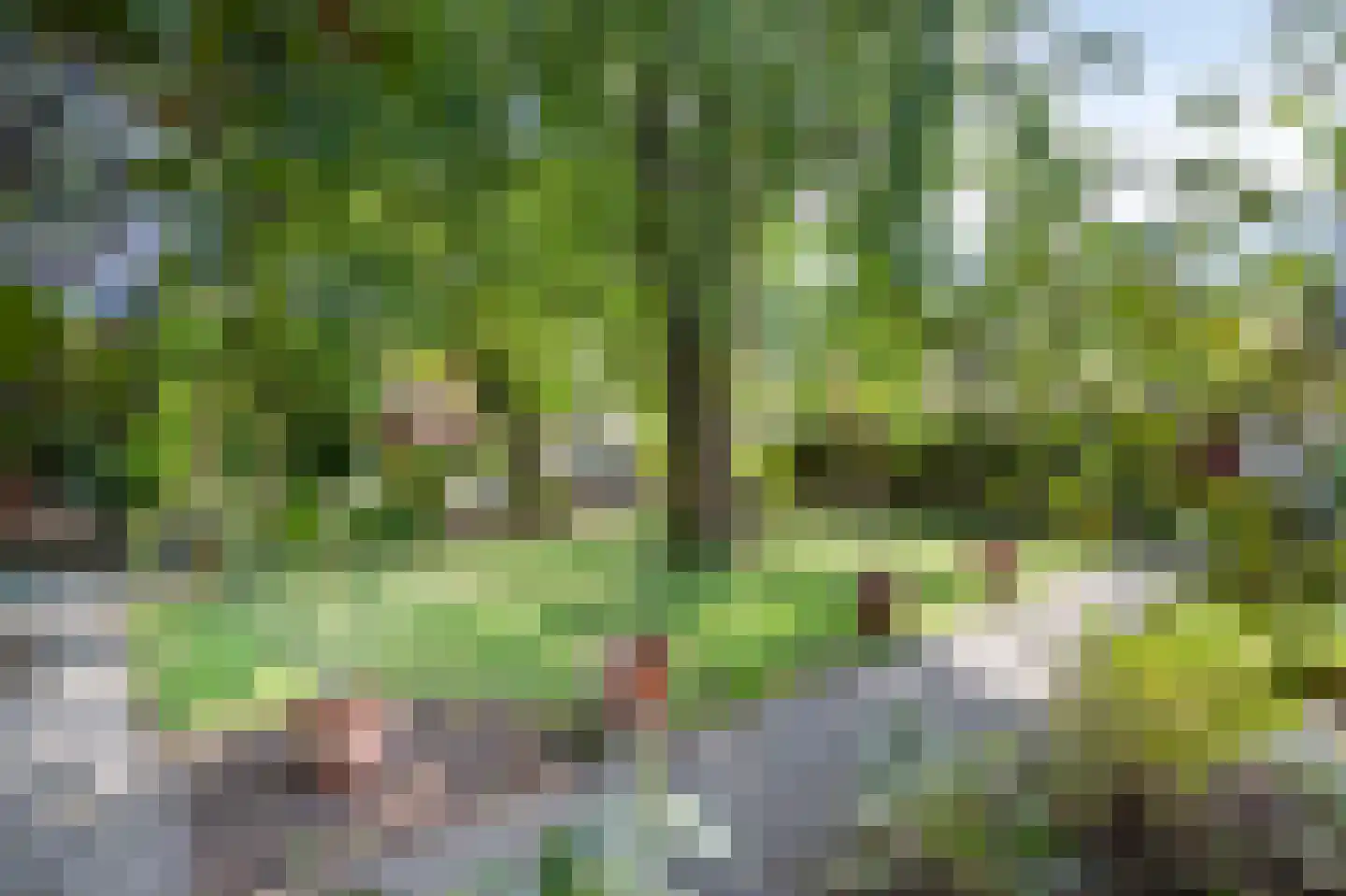 Scheulderdorpsstraat 65 Scheulder thumbnail 40