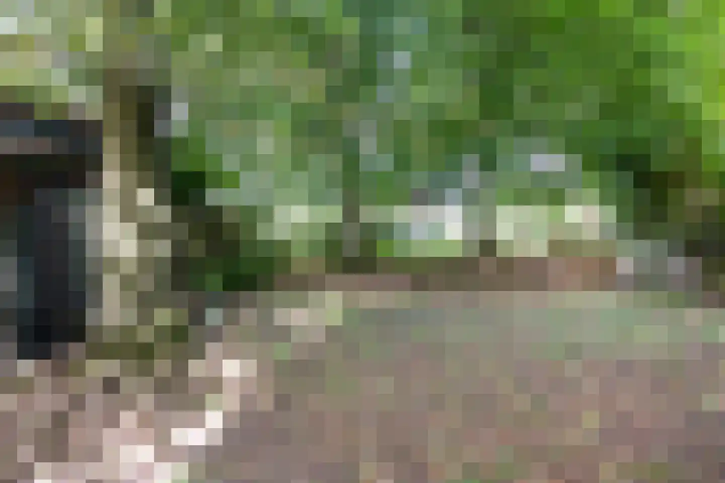 Scheulderdorpsstraat 65 Scheulder thumbnail 41