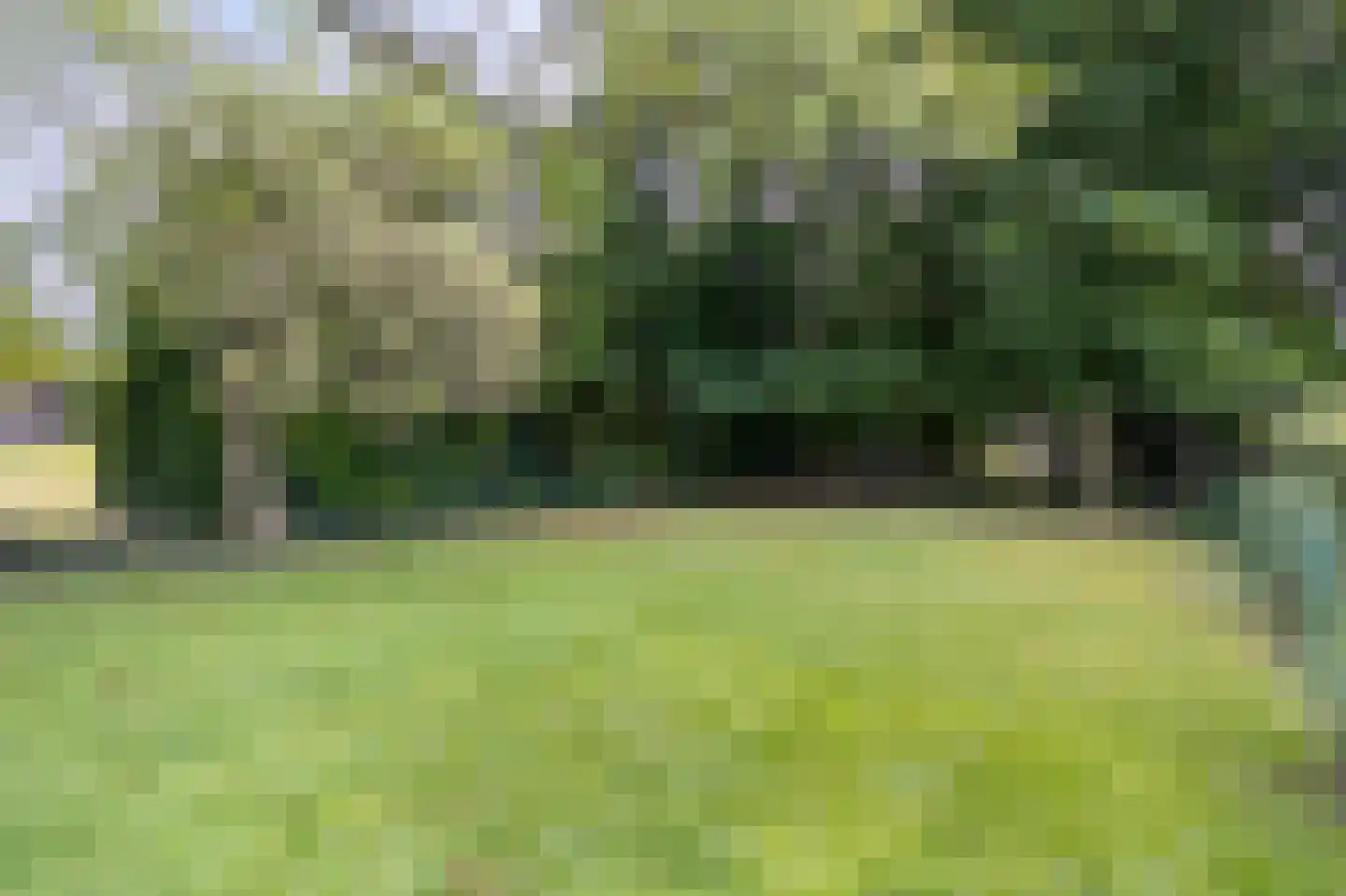 Scheulderdorpsstraat 65 Scheulder thumbnail 44