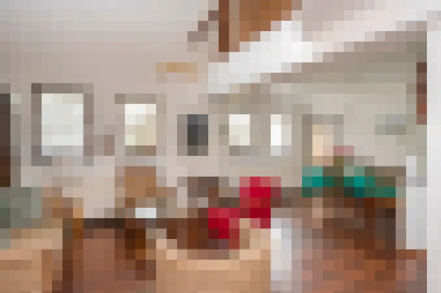 Scheulderdorpsstraat 65 Scheulder thumbnail 7