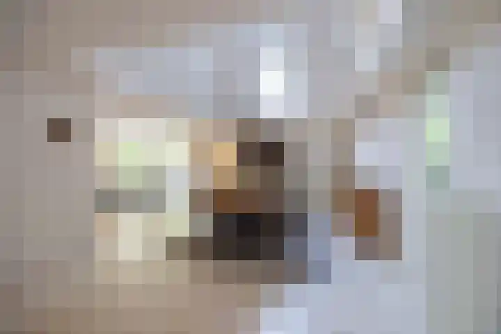 Scheurbroeksesteeg 25 Haaren thumbnail 11