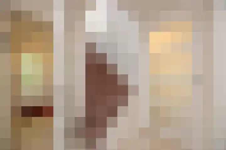 Scheurbroeksesteeg 25 Haaren thumbnail 12