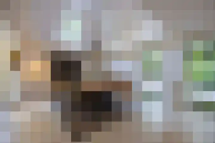 Scheurbroeksesteeg 25 Haaren thumbnail 14