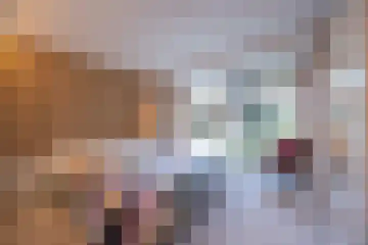 Scheurbroeksesteeg 25 Haaren thumbnail 15