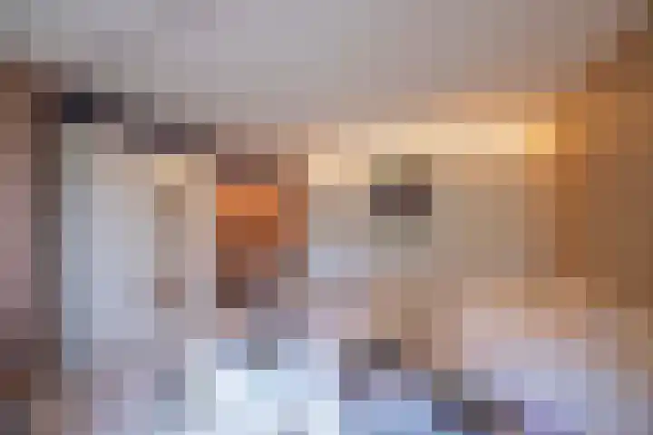 Scheurbroeksesteeg 25 Haaren thumbnail 16