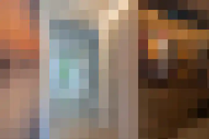Scheurbroeksesteeg 25 Haaren thumbnail 17