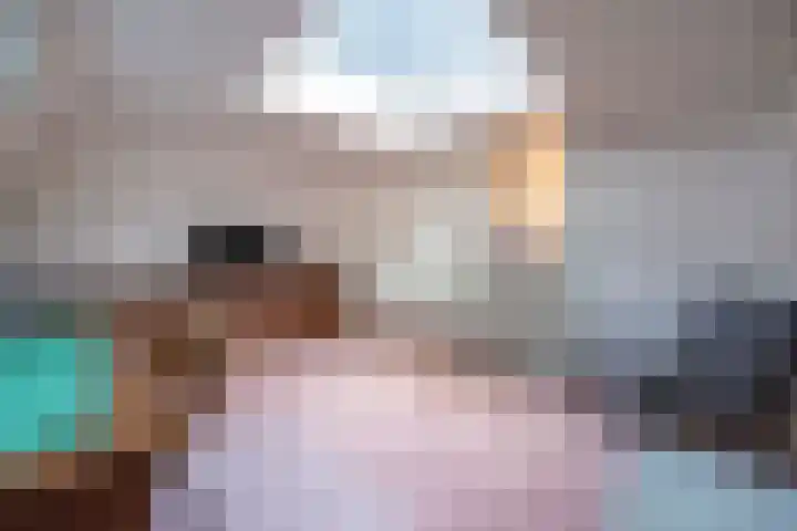 Scheurbroeksesteeg 25 Haaren thumbnail 19