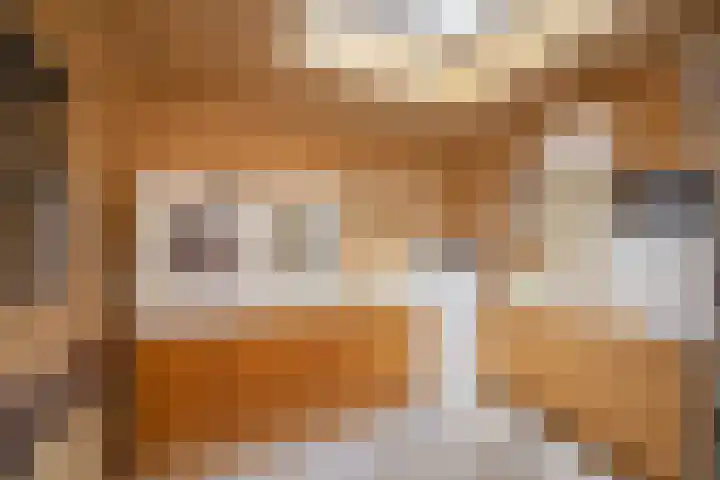 Scheurbroeksesteeg 25 Haaren thumbnail 24