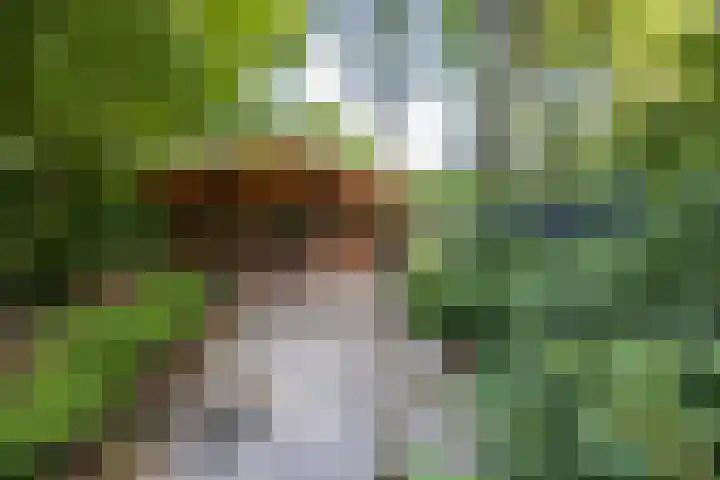 Scheurbroeksesteeg 25 Haaren thumbnail 25