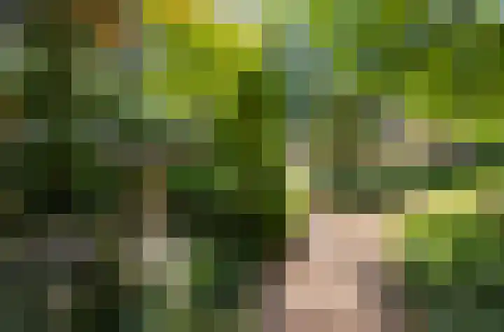 Scheurbroeksesteeg 25 Haaren thumbnail 27