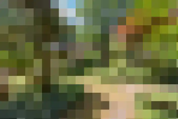 Scheurbroeksesteeg 25 Haaren thumbnail 28
