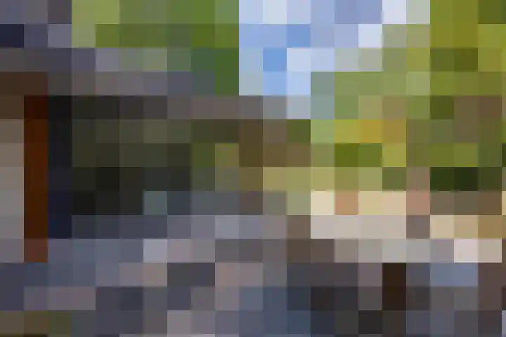 Scheurbroeksesteeg 25 Haaren thumbnail 32