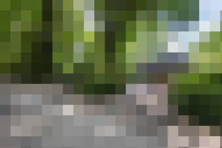 Scheurbroeksesteeg 25 Haaren thumbnail 37