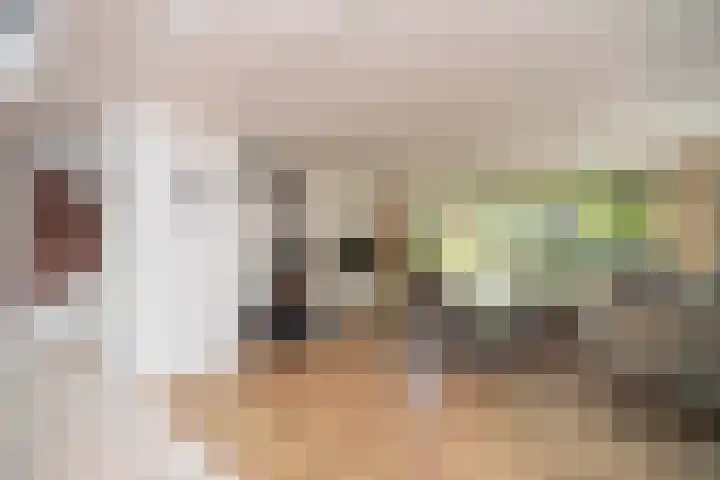 Scheurbroeksesteeg 25 Haaren thumbnail 4