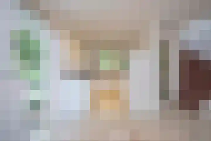 Scheurbroeksesteeg 25 Haaren thumbnail 8