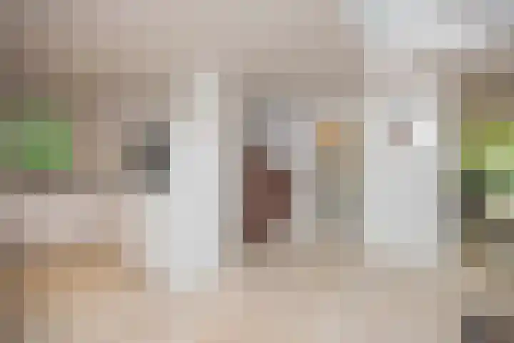 Scheurbroeksesteeg 25 Haaren thumbnail 9