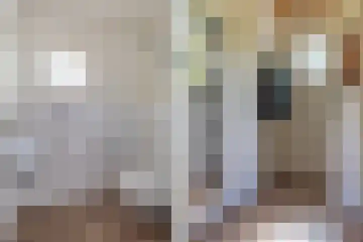 Scheuterdijk 31 Eefde thumbnail 18