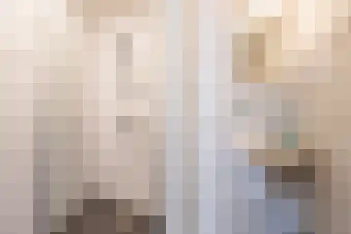 Scheuterdijk 31 Eefde thumbnail 20