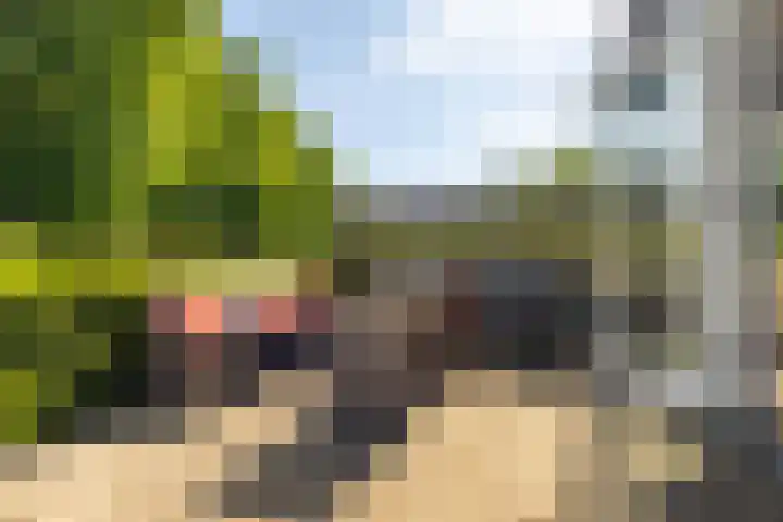 Scheuterdijk 31 Eefde thumbnail 27