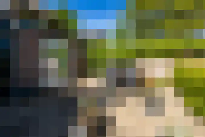 Scheuterdijk 31 Eefde thumbnail 28