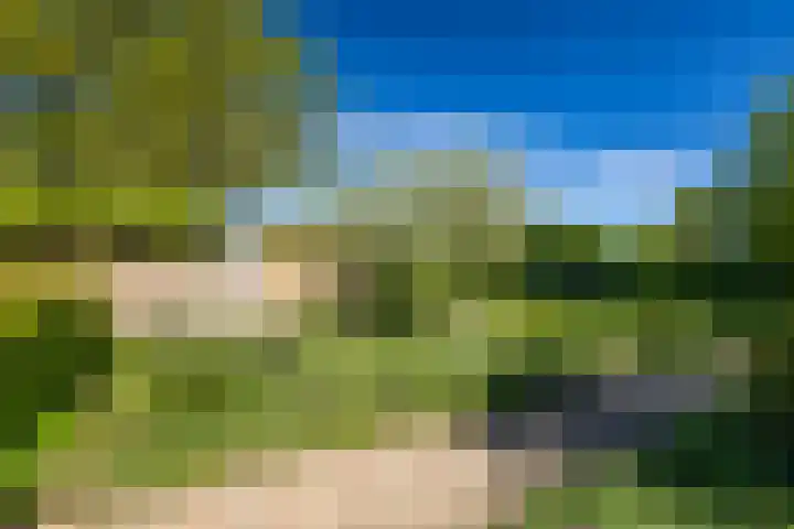 Scheuterdijk 31 Eefde thumbnail 29