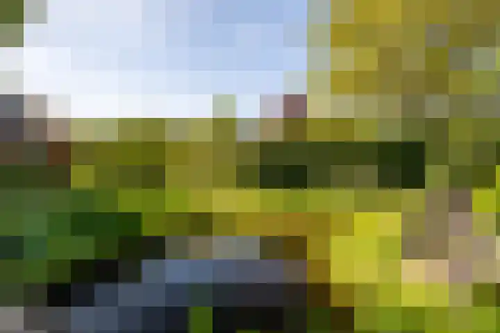 Scheuterdijk 31 Eefde thumbnail 31