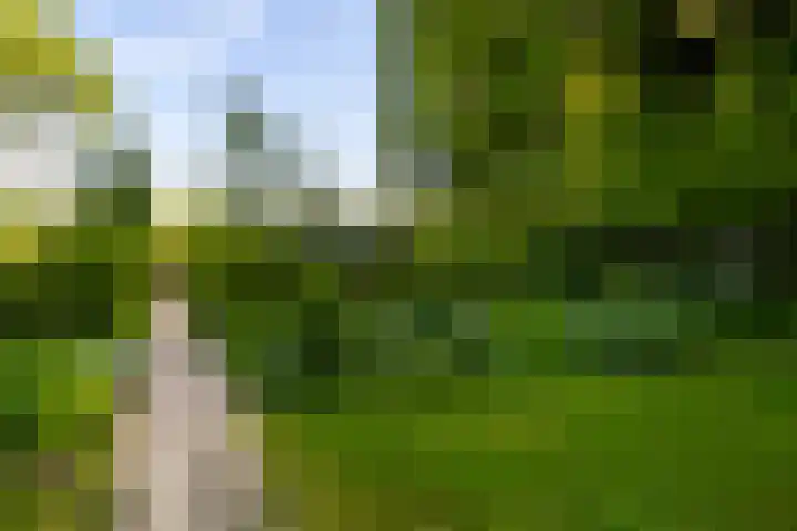 Scheuterdijk 31 Eefde thumbnail 32