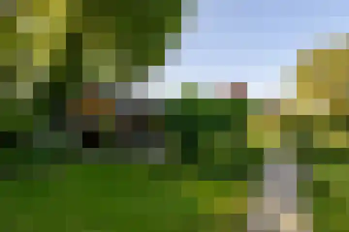 Scheuterdijk 31 Eefde thumbnail 33