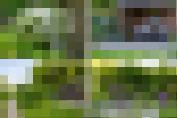 Scheuterdijk 31 Eefde thumbnail 34