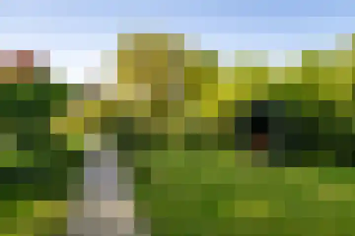 Scheuterdijk 31 Eefde thumbnail 35