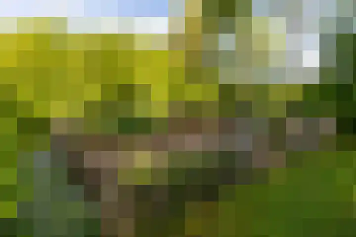 Scheuterdijk 31 Eefde thumbnail 36
