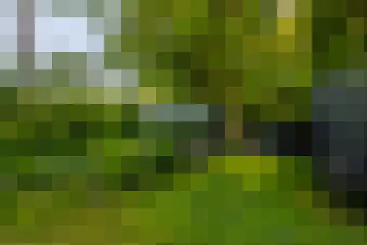 Scheuterdijk 31 Eefde thumbnail 37