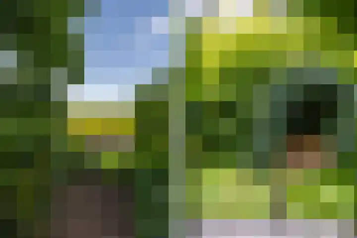 Scheuterdijk 31 Eefde thumbnail 38