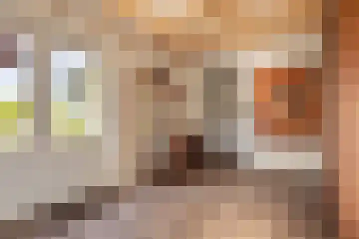 Scheuterdijk 31 Eefde thumbnail 4
