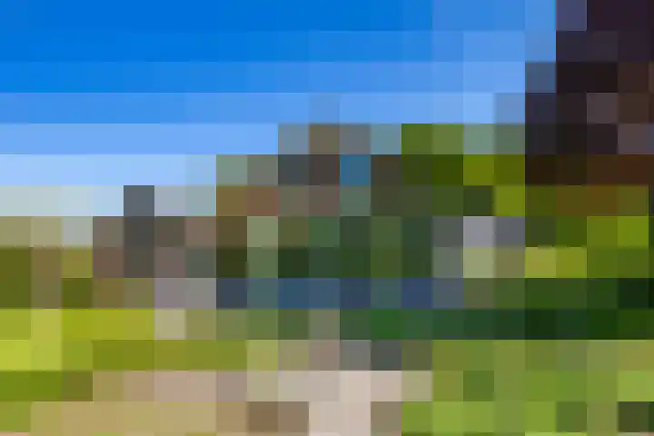 Scheuterdijk 31 Eefde thumbnail 44