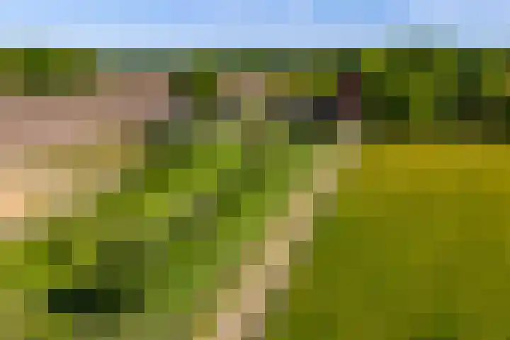 Scheuterdijk 31 Eefde thumbnail 47