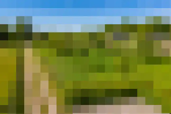 Scheuterdijk 31 Eefde thumbnail 48